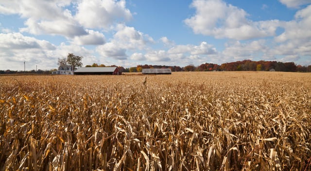 Indiana is the fifth largest corn-producing state in the U.S., with over 1 billion bushels harvested in 2013.