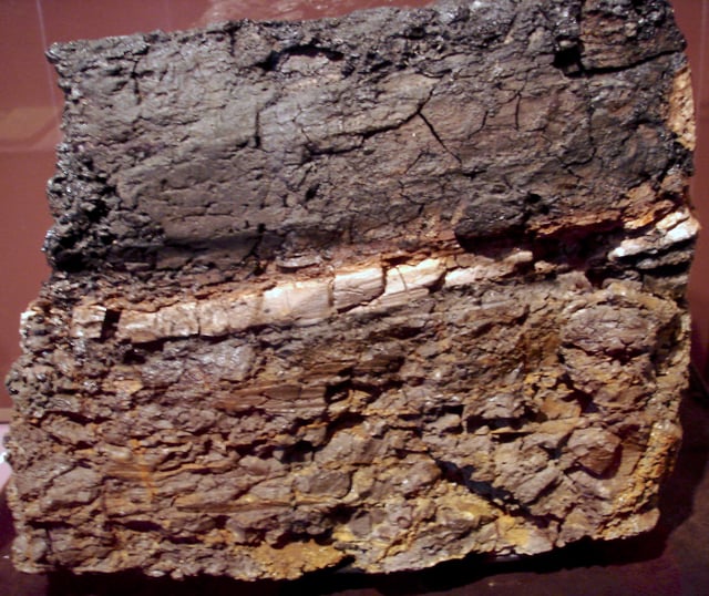 A Wyoming rock with an intermediate claystone layer that contains 1000 times more iridium than the upper and lower layers. Picture taken at the San Diego Natural History Museum