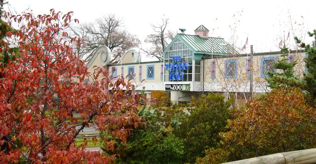 The Toledo Zoo pedestrian bridge