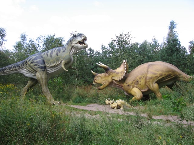 The battles that may have occurred between Tyrannosaurus rex and Triceratops are a recurring theme in popular science and dinosaurs' depiction in culture.