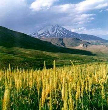 Mount Damavand, Iran's highest point, is located in Amol, Mazenderan.