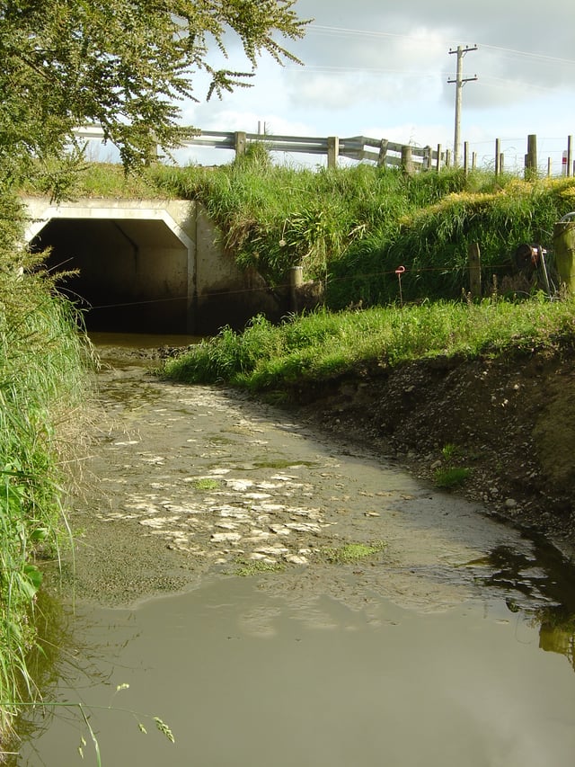 Water pollution in the Wairarapa, New Zealand