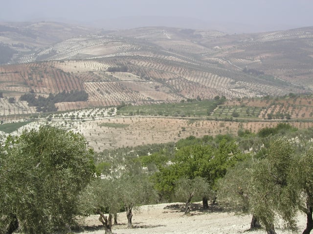 The nearby Kurd Mountains at the northwest of Aleppo