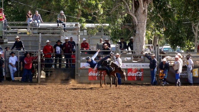 Rodeos (here at the annual fair of Bourail) are part of Caldoche culture.