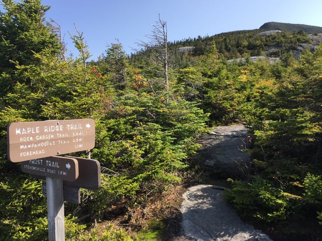 Mount Mansfield