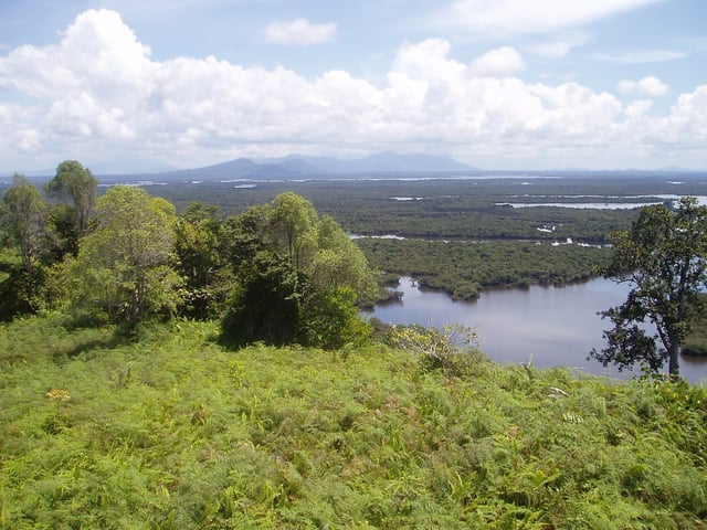 Wetland habitats in Borneo