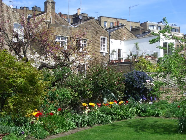 Providence Patch Communal Garden