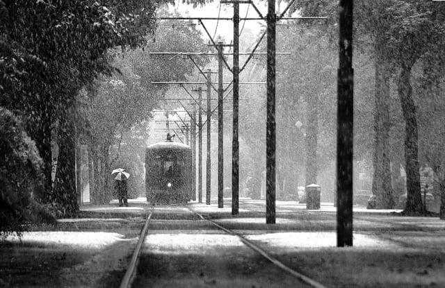 Snow falls on St. Charles Avenue in December 2008.