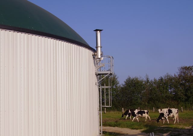 Farm-based maize silage digester located near Neumünster in Germany, 2007. Green inflatable biogas holder is shown on top of the digester