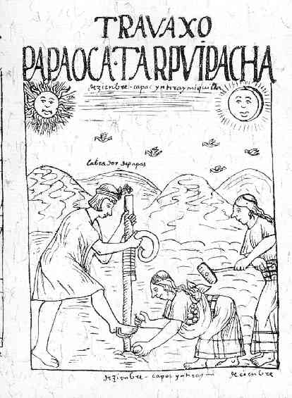 Illustration of Inca farmers using a chakitaqlla (Andean foot plough)