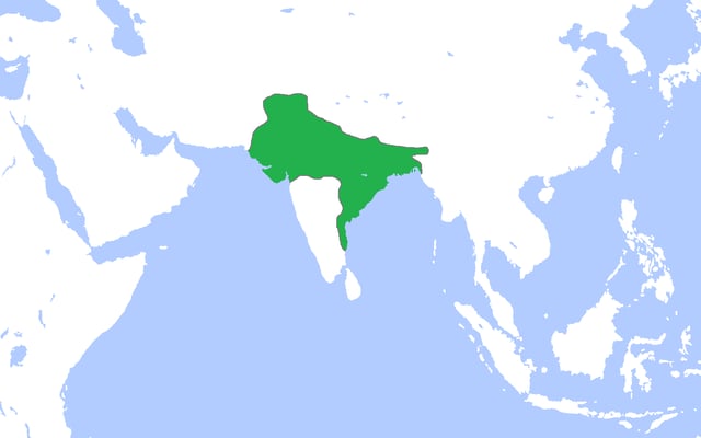 Maximum extent of Gupta Empire during Chandragupta II, 414 AD including tributaries