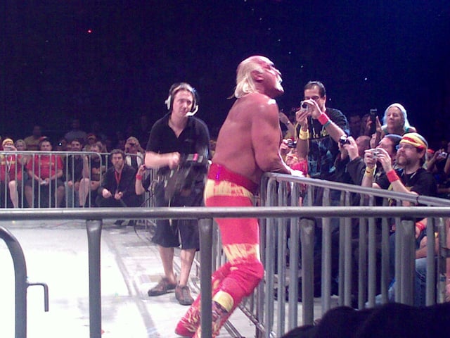 Hogan during a match against Ric Flair in 2009