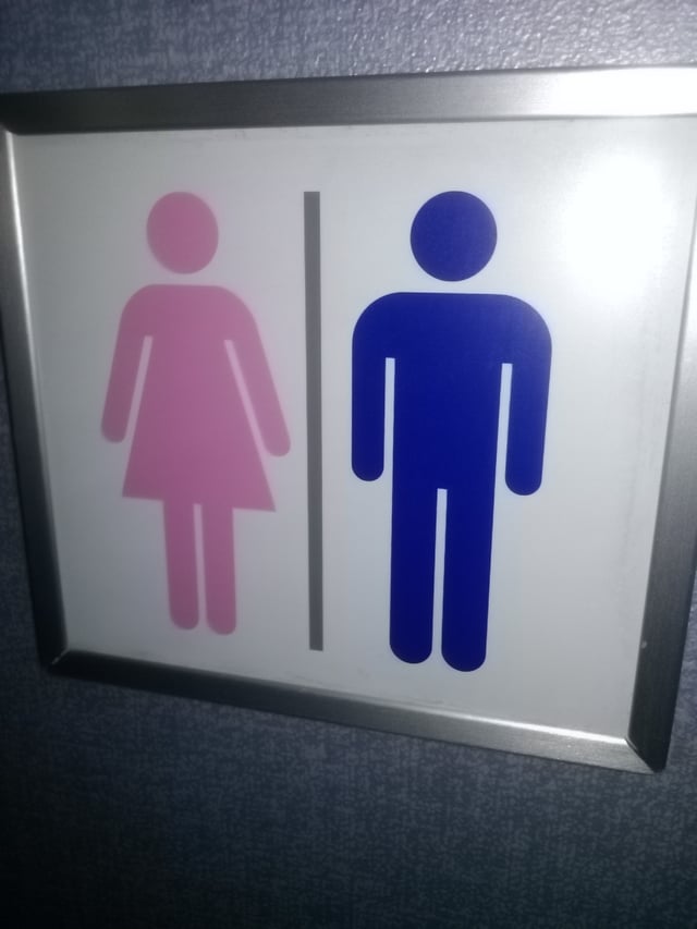 This restroom sign on an All Nippon Airways Boeing 767-300 uses blue for the male gender