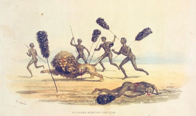 Africans hunting the lion, 1841