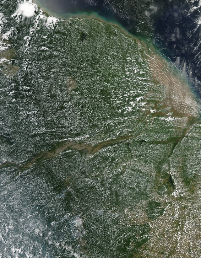 This image reveals how the forest and the atmosphere interact to create a uniform layer of "popcorn-shaped" cumulus clouds.