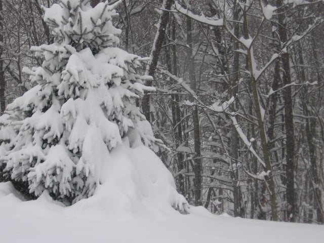 From December 18th to 19th, 2003, a significant snowstorm occurred in West Virginia.