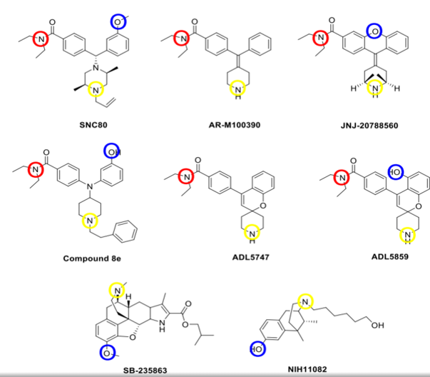 A showing of selective delta opioid ligands. Blue represents a common phenolic moiety, yellow a basic nitrogen, and red a diethyl amide moiety which isn't set in stone, but rather a bulky region that fits into a hydrophobic pocket.