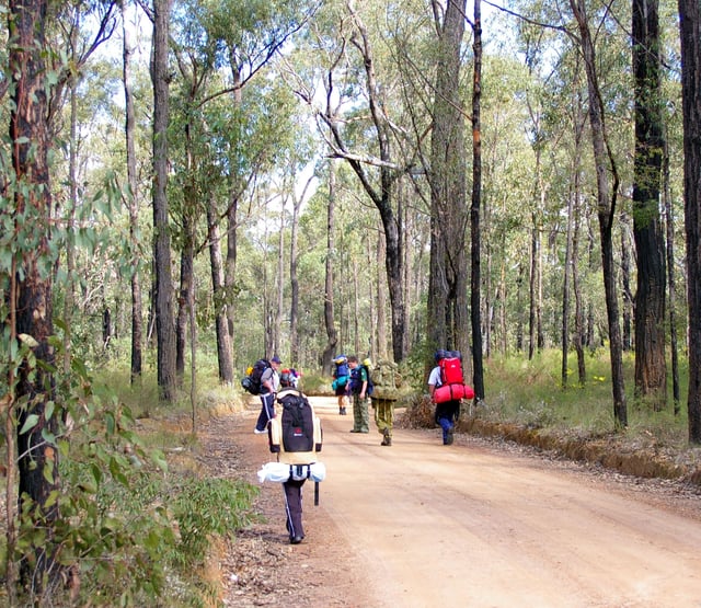A group of Australian Scouts hike along a fire trail in a national park.