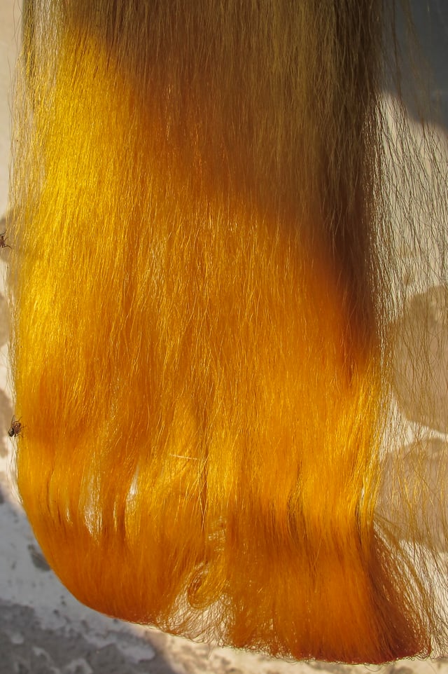 Rajshahi silk fibers, Rajshahi.