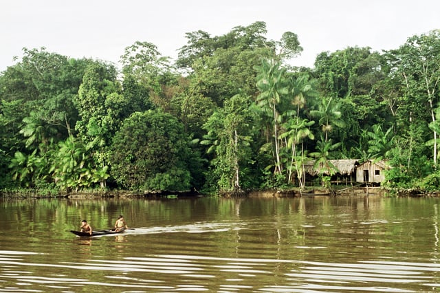 Amazonas state