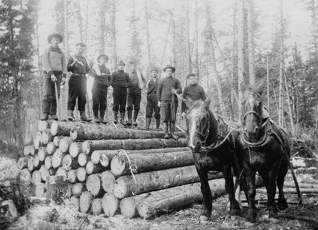 Canada's major industry in terms of employment and value of the product was the timber trade (Ontario, 1900 circa).