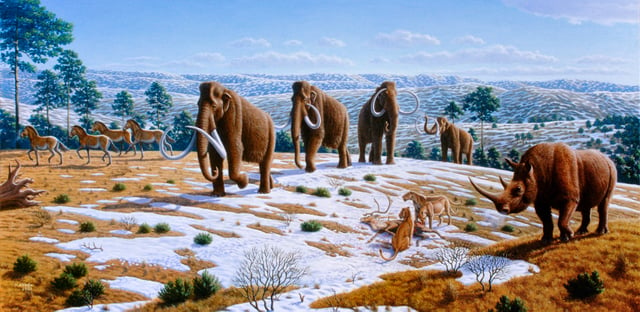 Many great mammals such as woolly mammoths, woolly rhinoceroses, and cave lions inhabited the mammoth steppe during the Pleistocene.