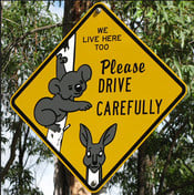 Road sign depicting a koala and a kangaroo