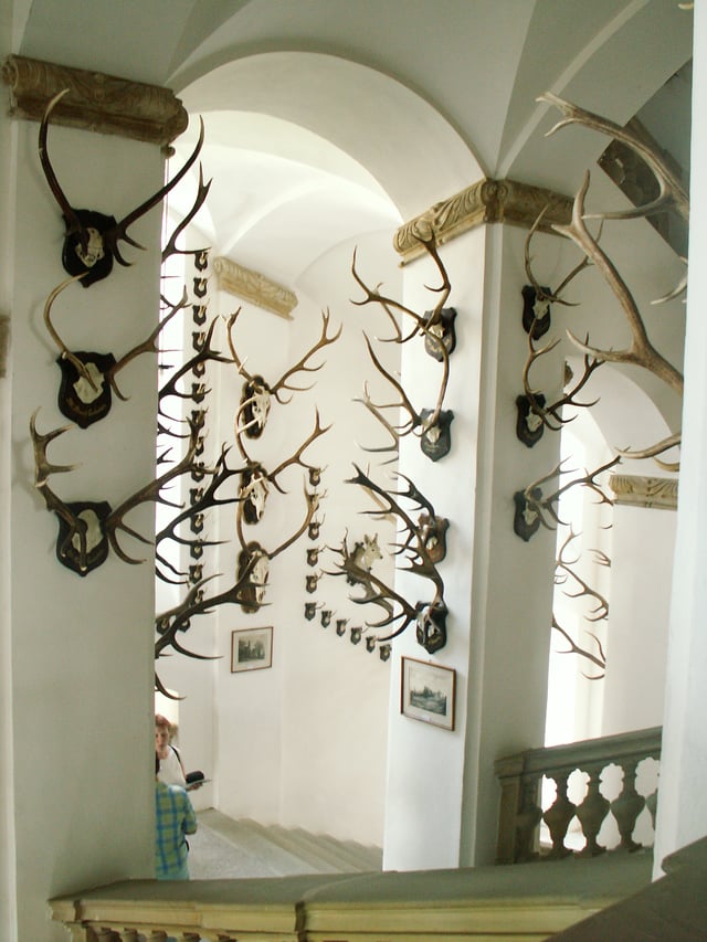 Trophy collection of the Princely Family of Liechtenstein at Úsov Château, the Czech Republic