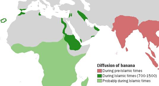 Actual and probable diffusion of bananas during Islamic times (700–1500 CE)