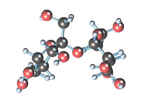 Model of sucrose molecule