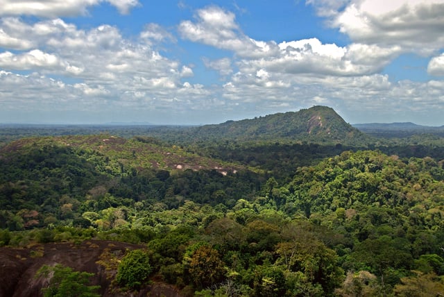 Central Suriname Nature Reserve seen from the Voltzberg.