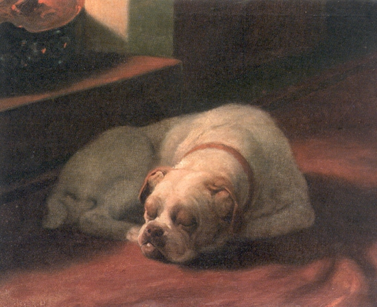 Painting of a Bulldog by Arthur Heyer (1872–1931).