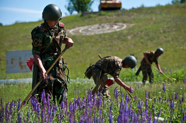 Kyrgyz soldiers conducting mine sweeping exercises.