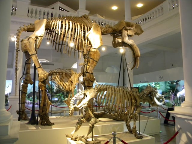 Grigore Antipa National Museum of Natural History reopened in 2011 after $13 million renovation.