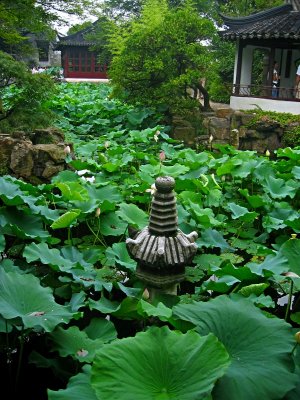 The Humble Administrator's Garden, one of the classical gardens of Suzhou.