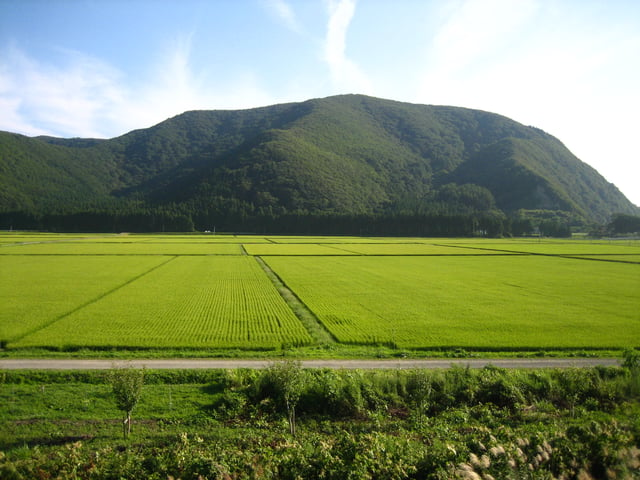 A rice paddy in Aizu, Fukushima Prefecture