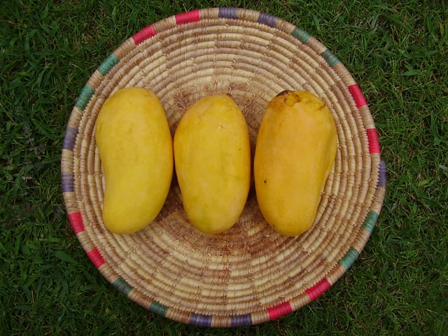 Mirpur Khas Sindh is famous for Sindhri Mango