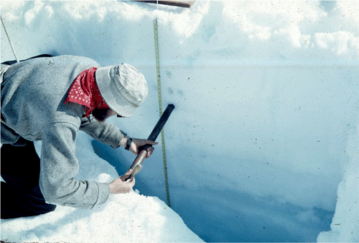 Snow pit on the surface of a glacier, profiling snow properties where the snow becomes increasingly dense with depth as it metamorphoses towards ice