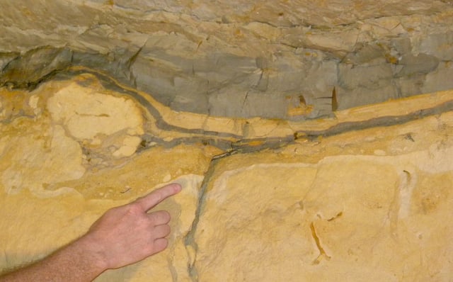 Complex Cretaceous–Paleogene clay layer (gray) in the Geulhemmergroeve tunnels near Geulhem, The Netherlands. (Finger is below the actual Cretaceous–Paleogene boundary)