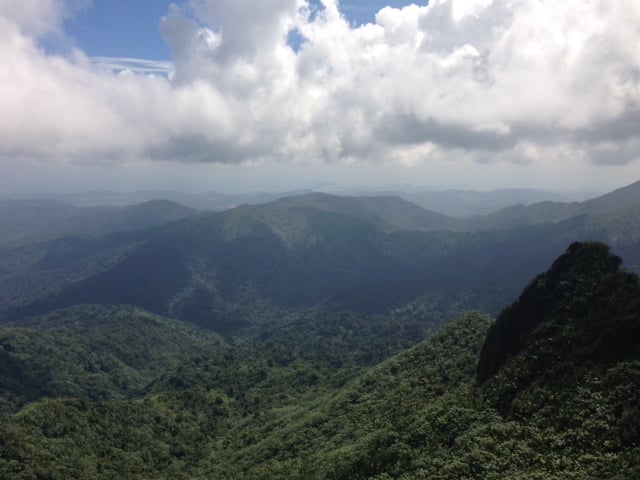 View of El Yunque National Forest in Puerto Rico