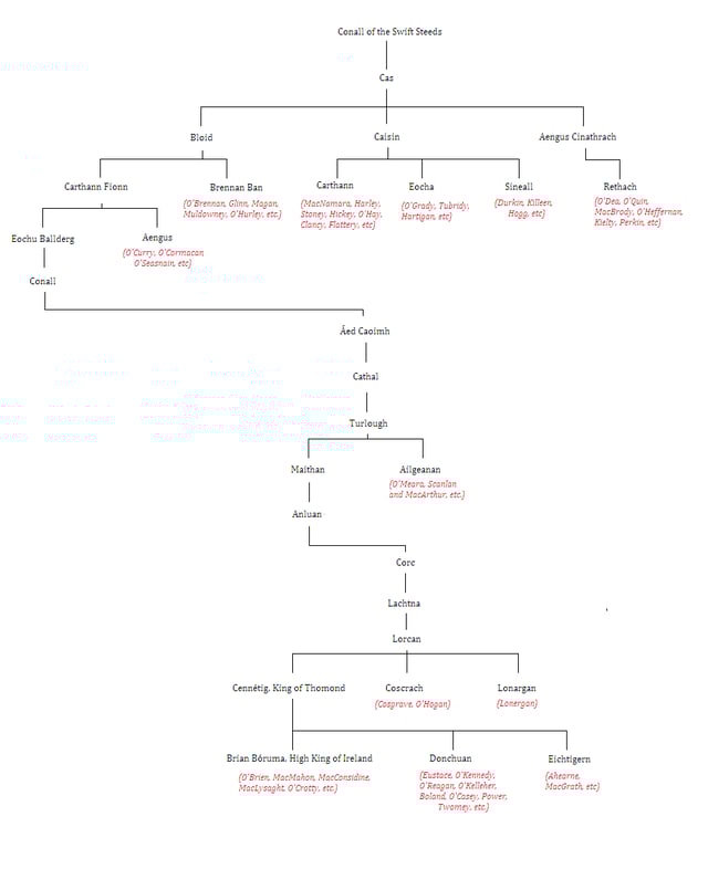 Tree graph showing relationships between the Dalcassian septs.