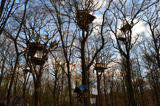 Tree houses for protesting the felling of part of Hambach Forest for the Hambach surface mine in Germany: after which the felling was suspended in 2018