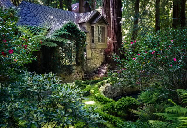 Close to Old Mill Park and Mill Valley Public Library, the setting of this house, built by notable landscape painter Tilden Daken, is typical of the houses sprinkled amongst the redwoods of the Cascade Canyon area in Mill Valley.