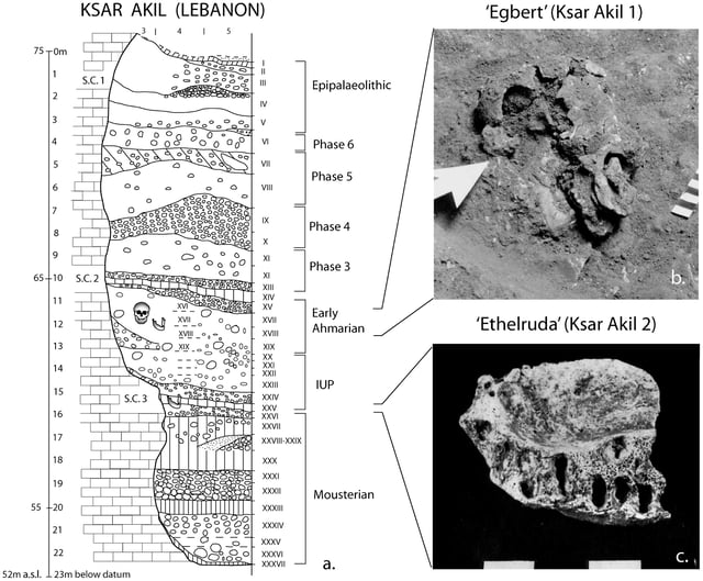 Layer sequence at Ksar Akil in the Levantine corridor, and discovery of two fossils of Homo sapiens, dated to 40,800 to 39,200 years BP for "Egbert", and 42,400–41,700 BP for "Ethelruda".