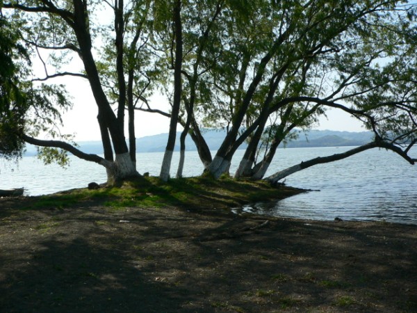 Shore of Lake Catemaco