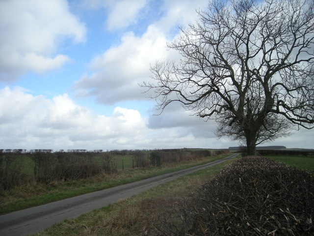 Road near Rockhill.
