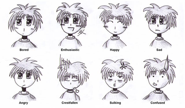 Anime and manga artists often draw from a defined set of facial expressions to depict particular emotions