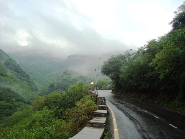 Islamabad's annual precipitation allows for the growth of lush forests in the city's hills.
