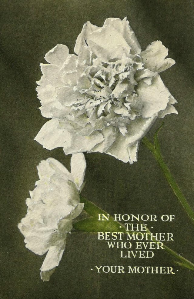 Mother's Day 1915 postcard from Northern Pacific Railway