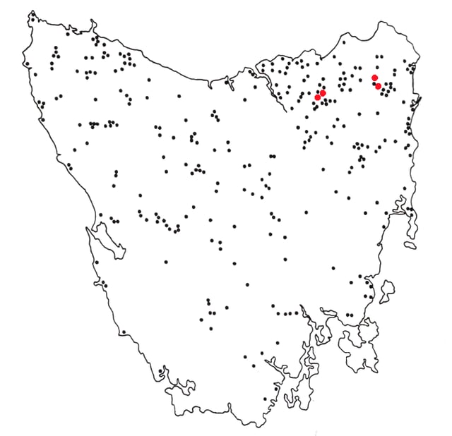 Map showing location of reported sightings between 1936 and 1980 in Tasmania. Black = 1 reported sighting, red = 5 reported sightings.